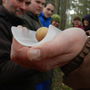 36492_thumb